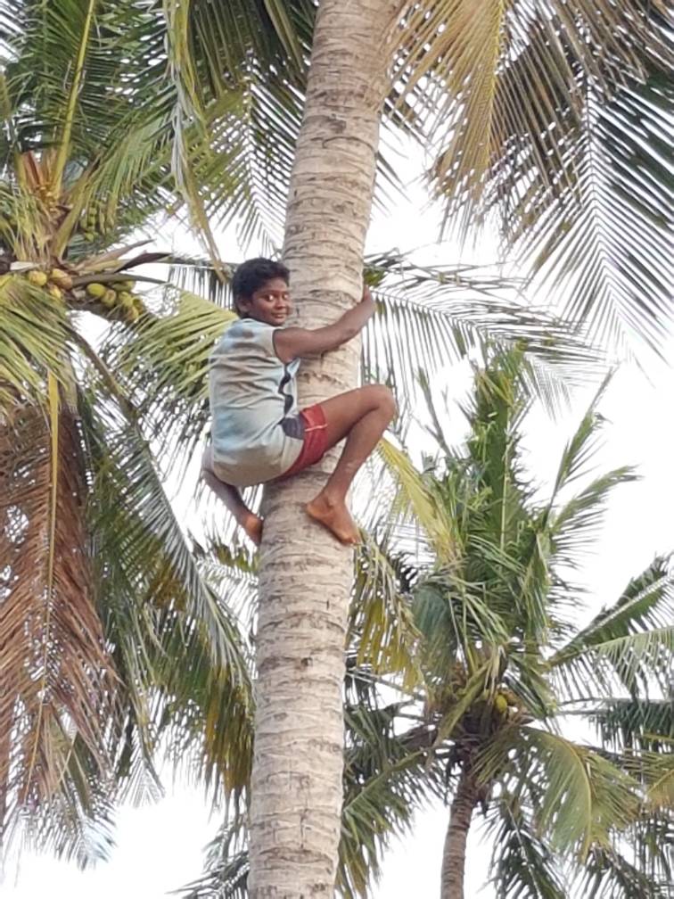  La rentrée des classes  a été postposée au lundi 12 juin pour raison de canicule. (Mala India )