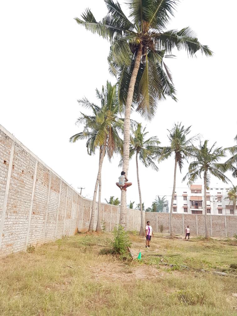 La rentrée des classes  a été postposée au lundi 12 juin pour raison de canicule. (Mala India )