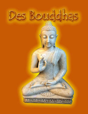  Des Bouddhas (Mala India )