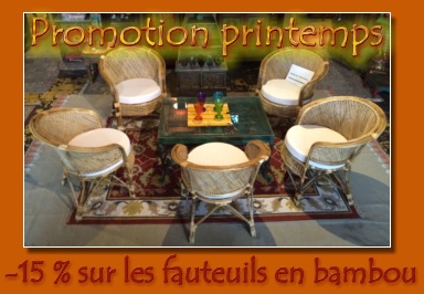  Promotion printemps  (Mala India )