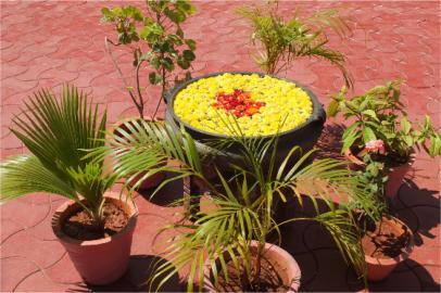  REPUBLIC DAY  (Mala India )