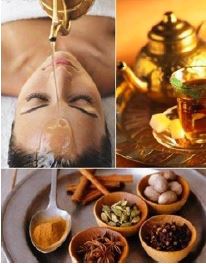  VOYAGE AYURVEDA et YOGA. (Mala India )