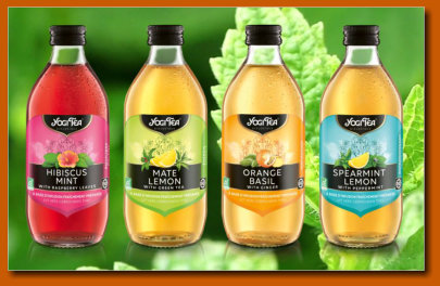  Nos infusions glacées  (Mala India )
