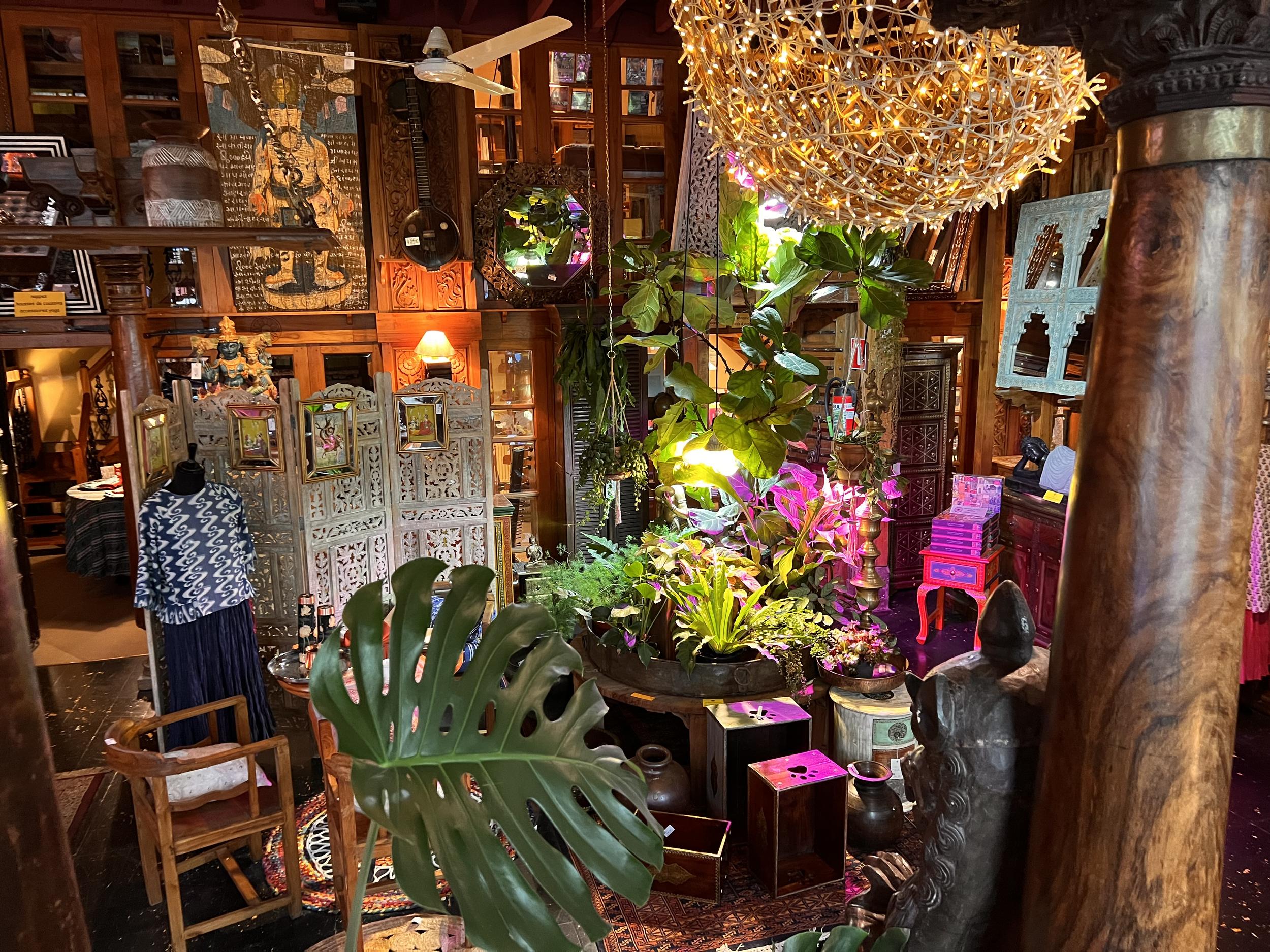 Galerie photos de notre magasin (Mala India)