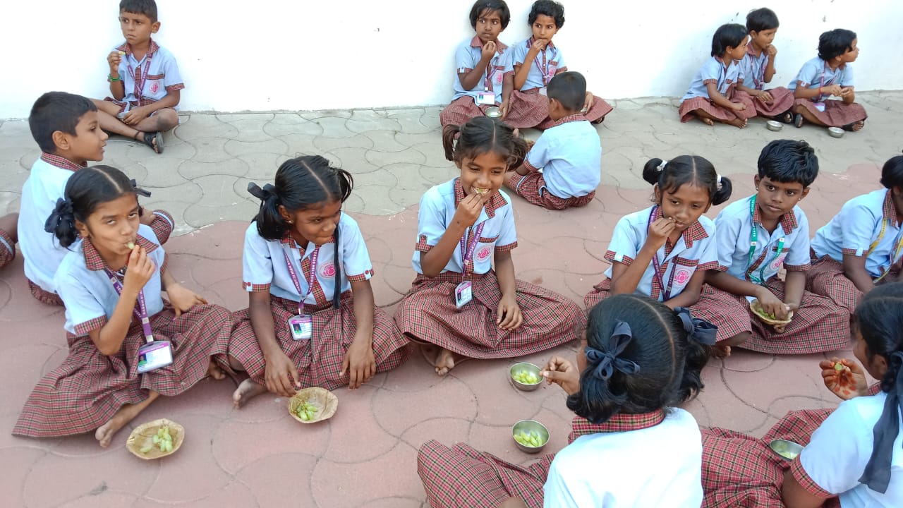 Galerie photos de nos projets en Inde (Mala India)